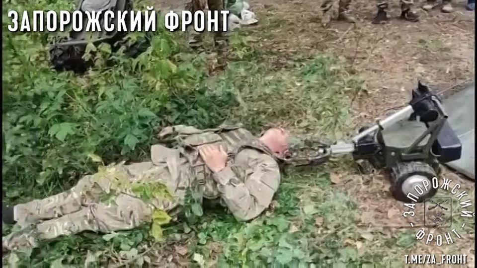 ���� ��������� ����� ������������� ���������