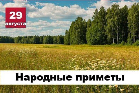 Народные приметы 29 августа