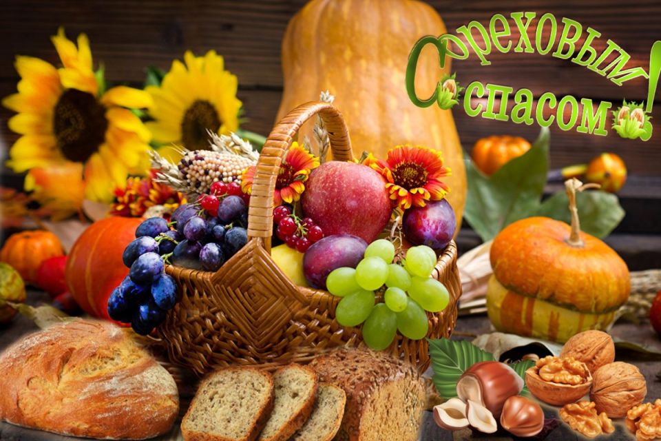 Дорогие жители Михайловского района!