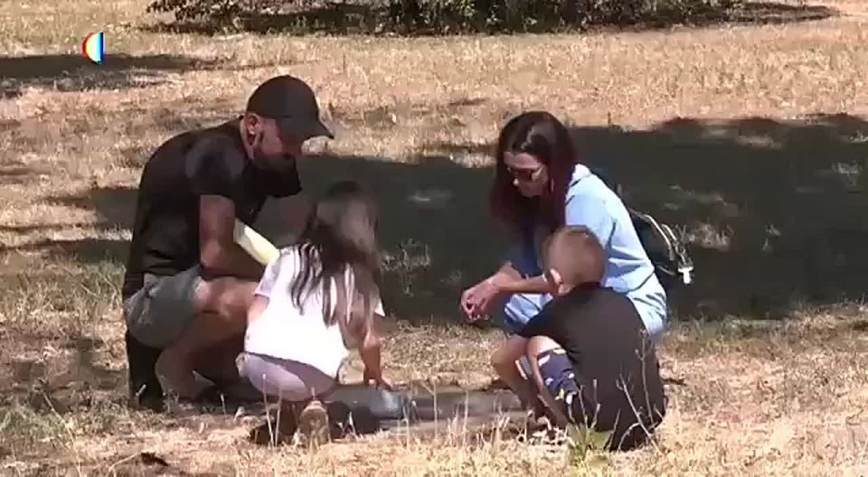 «Пусть воюет… А детей — в интернат»: в Запорожье мобилизовали отца-одиночку, а детей оставили на произвол судьбы