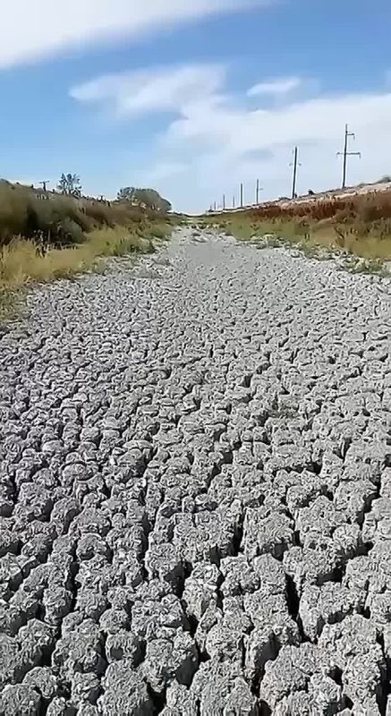 ��� ������ �������� ������-�������� �����