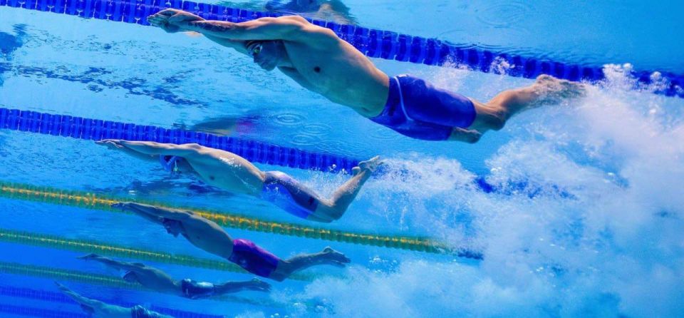 Народный фронт и Федерация водных видов спорта России приглашают представителей спортивного сообщества принять участие в опросе о текущем состоянии и развитии водных видов спорта в Российской Федерации