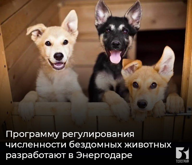 ��������� ������������� ����������� ��������� �������� ����������� � ����������