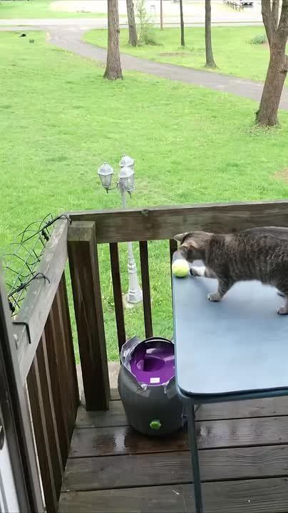 � ��� � ������������ ��������