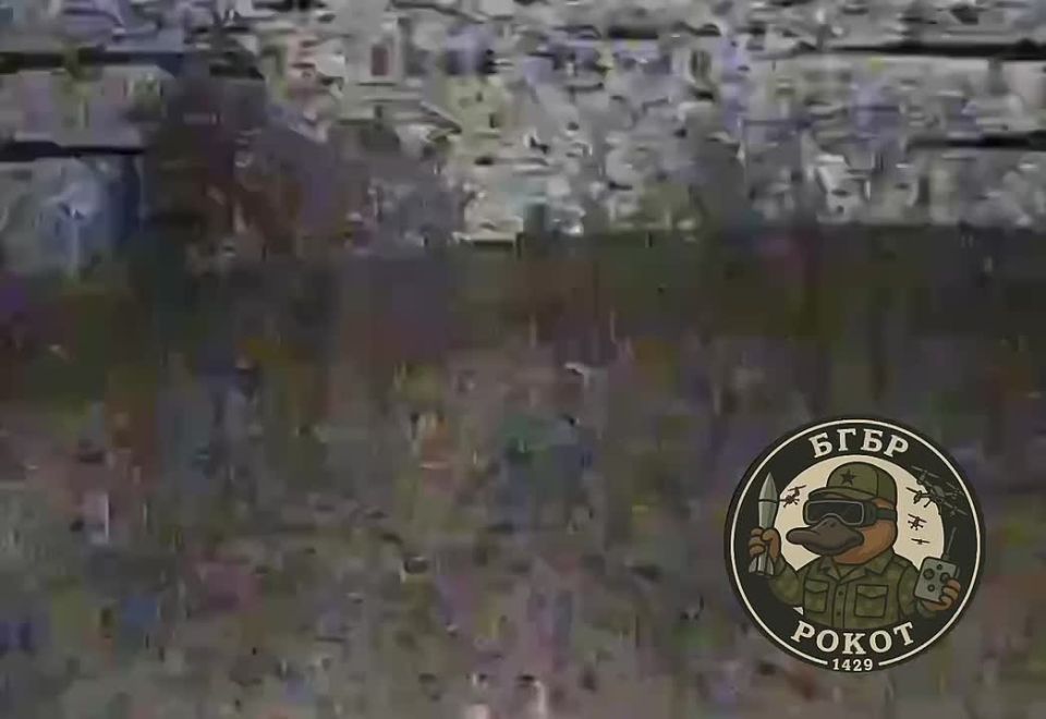������� FPV ������ 1429 ������������ ��� ���������� �������� ������� ��������� �����