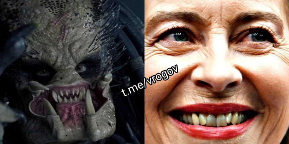 Владимир Рогов: Путин — хищник, заявила Урсула фон дер Ляйен