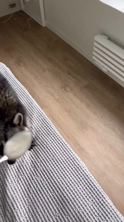 ������ ����, ������! �������� ��� ��� � ��������� ����������!