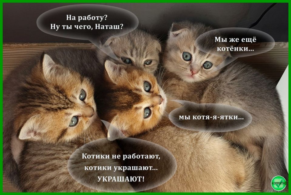 ���������������� ��������� � ��������