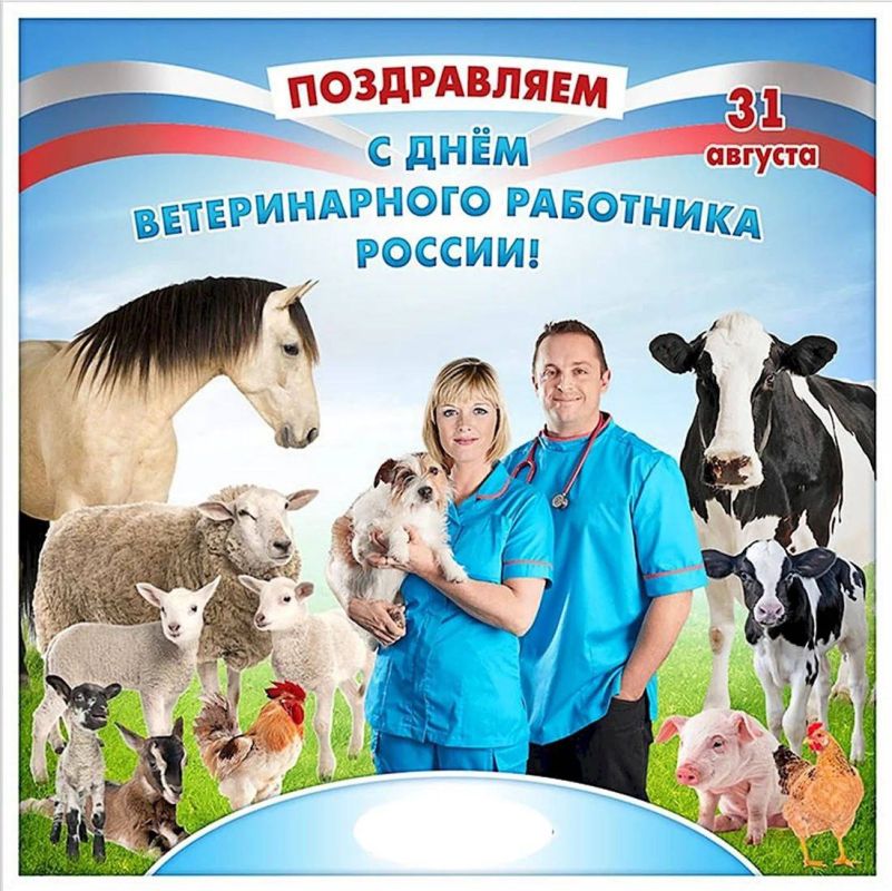 Уважаемые коллеги, ветеринарные специалисты, ветераны ветеринарной службы!