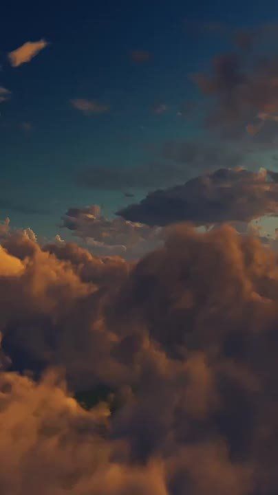 ����� �������������������