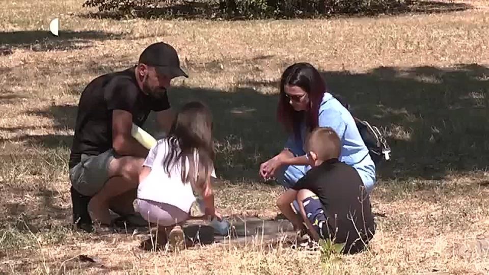 Пусть воюет, а детей в интернат