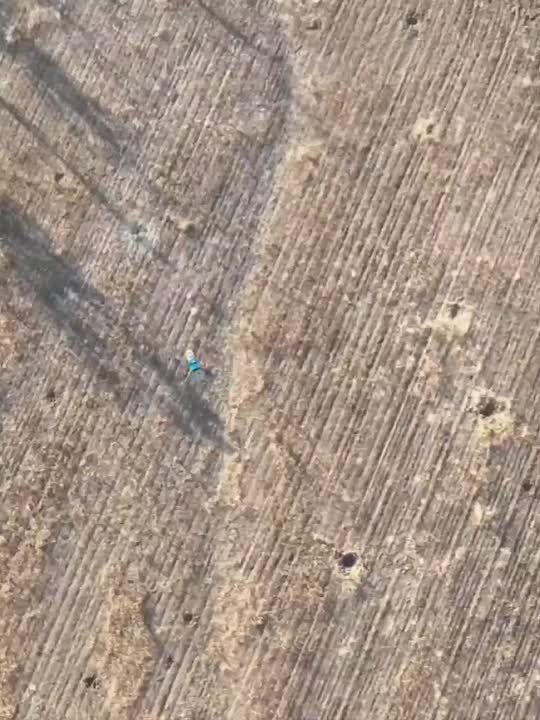 Дмитрий Рогозин: Ночь и утро на берегах Седого Днепра