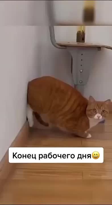 ��� � ����� ������������. ��������� ������ �� ��� � ����� �������� ���