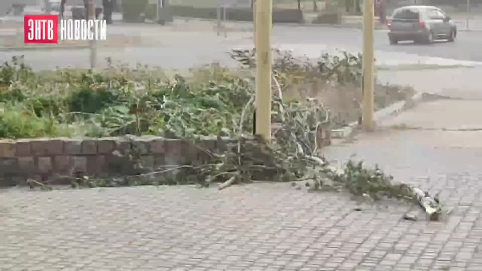 ������ ������� ���� ���������� �� ���������