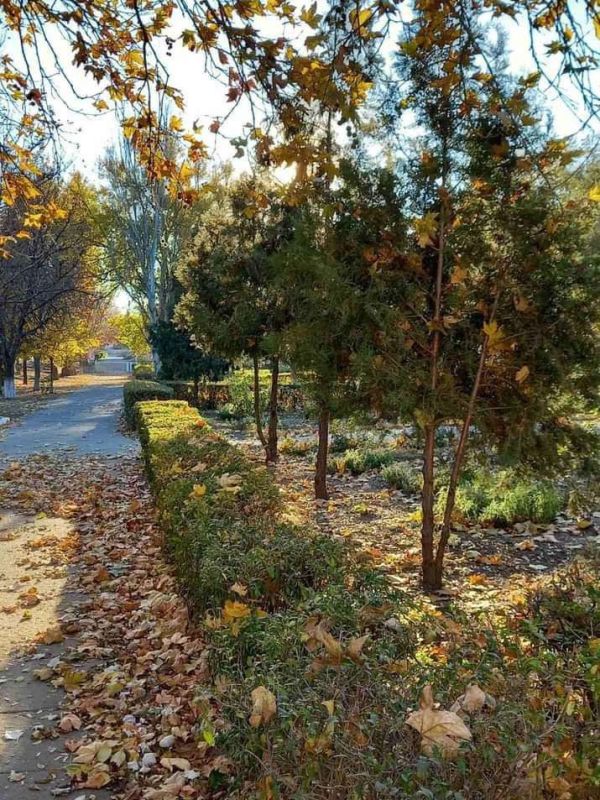   !.       &quot;, ,   ...&quot;  &quot;  -  &quot;