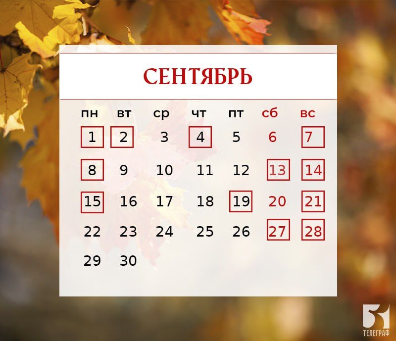 � 1 �������� � � ������� �����, ����������� �������!