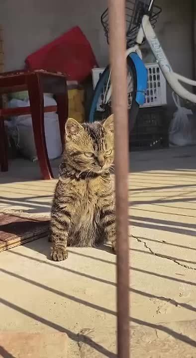 ��� � ���������� ����� ������