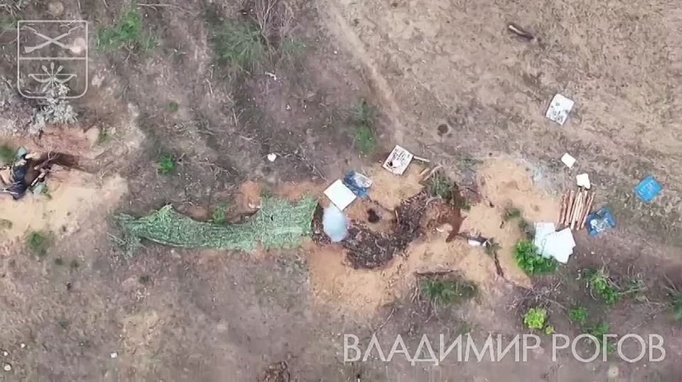 Владимир Рогов: Филигранная работа русских дроноводов на Запорожском фронте