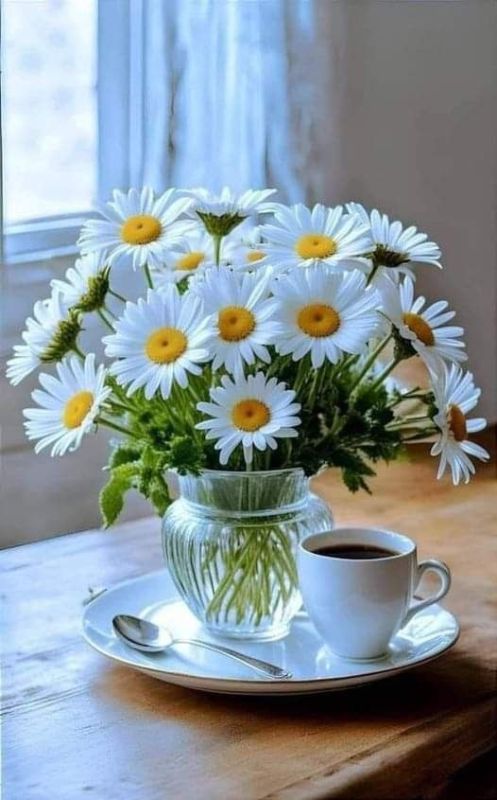 Доброе утро Днепрорудное!. Солнечного дня и чудесного настроения!