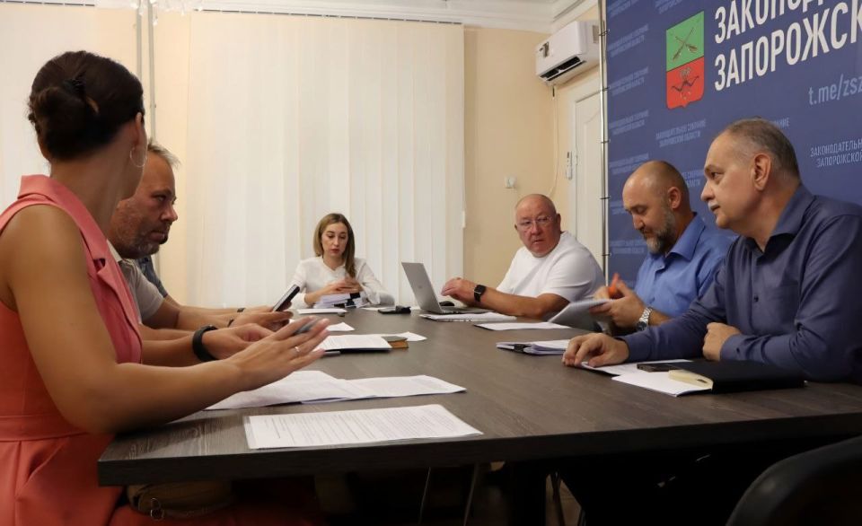 Под председательством Дарьи Суроткиной состоялось заседание Комитета Законодательного Собрания Запорожской области по бюджету и экономической политике