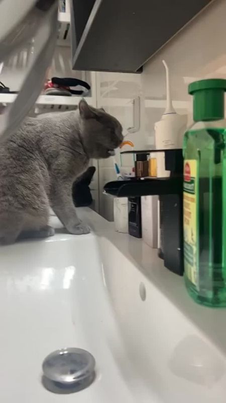 ������ ���� � �����. �� �������� ��� �������