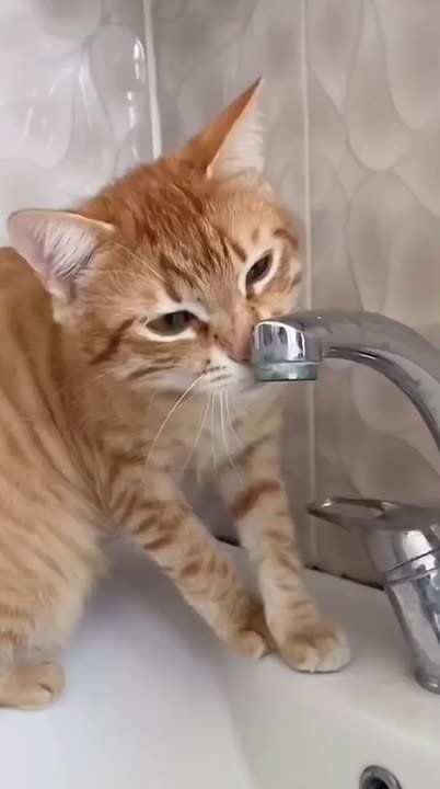 ����������� � ��������� ������ � �������