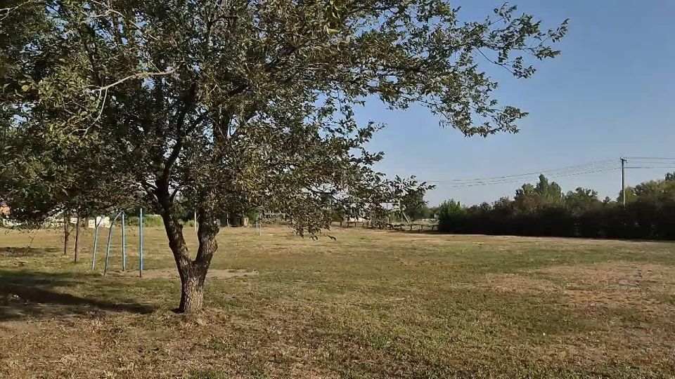 1 �������� � ��� ������ ��������� ����, �������� ��� ����� ���� �����������, ������� ������ �������� ���� ����