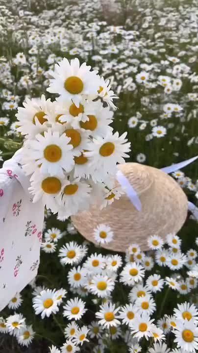 ������ ����!. ����� ���� ���� �������� �����, ��� ��������� ������� ��� ���������� �����
