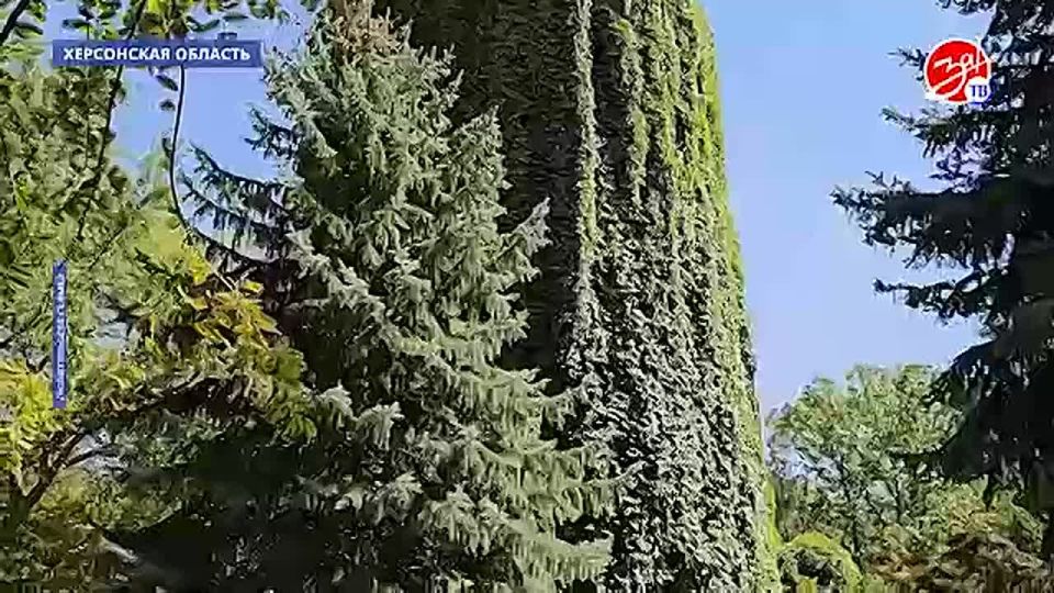 ����������� ������ ����� ���������� ��������� ����������� ��� ����� � ����� �������������� ������� � ���������� ���������� �������-����