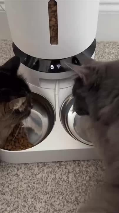 ��� � ������� � ����� �������� ������