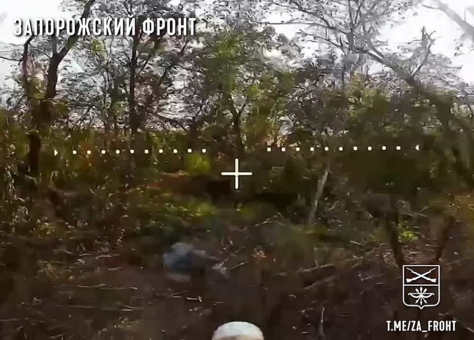 ����� ���� ��#%*�� ������� � �� ������ ����� � ������ ������ ����� ����� ������� ��