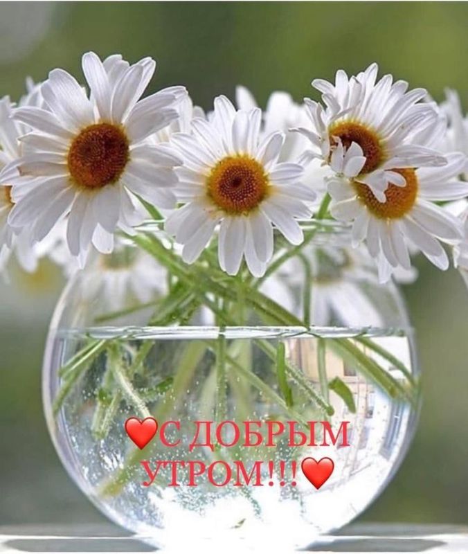 Доброе утро Днепрорудное!. Чудесного, солнечного, продуктивного дня, приятных встреч, интересных разговоров, доброжелательных людей и ярких моментов!