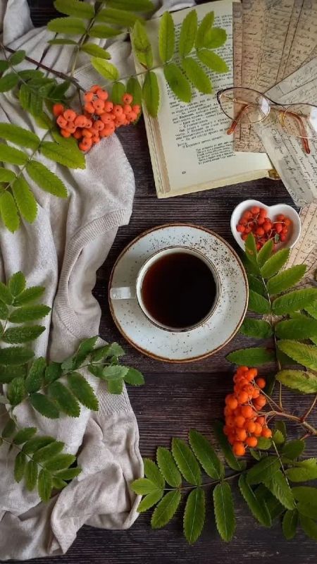 3 сентября 2025 года