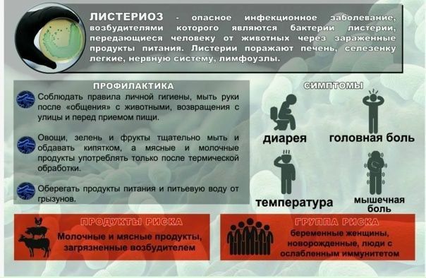 Листериоз — сапрозоонозное инфекционное заболевание человека и животных, вызываемое патогенными представителями рода Listeria (короткие палочки)