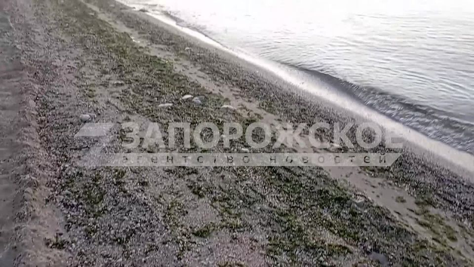 ������������ ��������� ������� � ����������