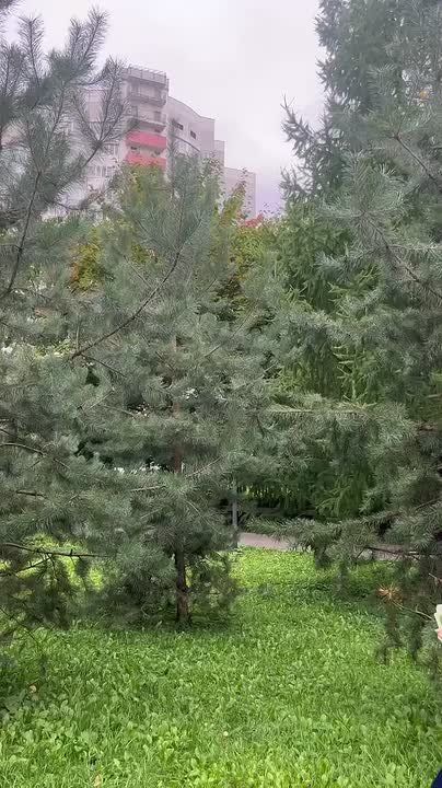 ����������� �� V ������������� ��� ���������-���������� � ������������ � �� ��� � ����� �������