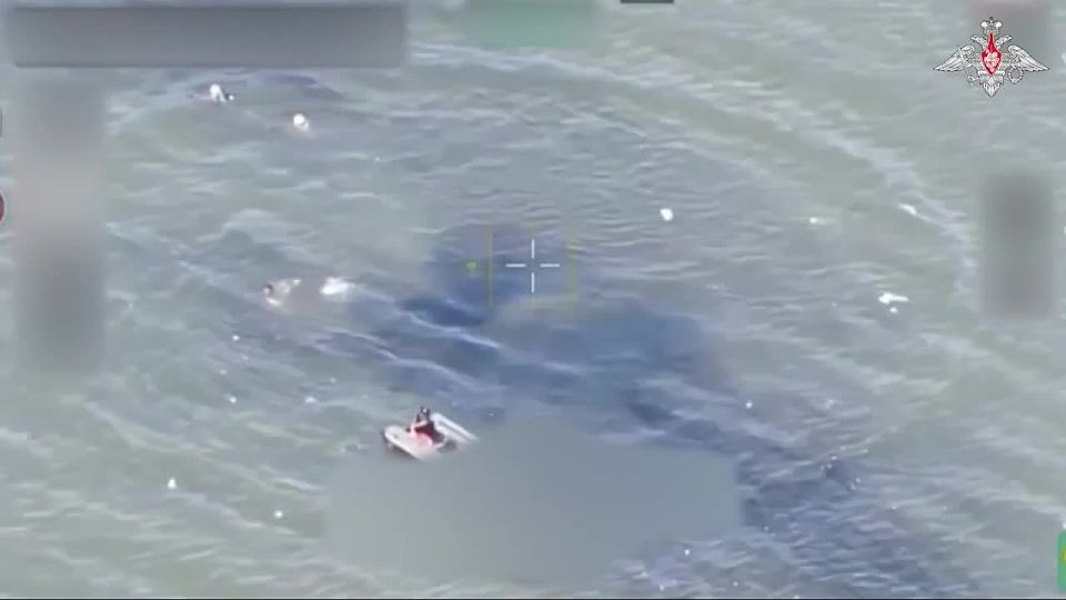 Владимир Рогов: Об уничтожении ДРГ ВСУ на Днепре