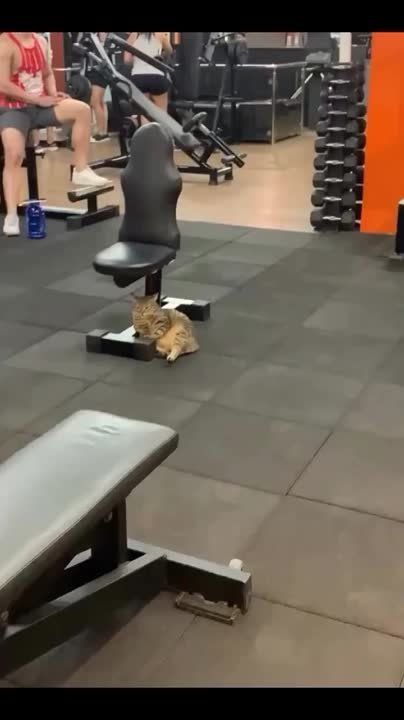 � �������� ���� � �������� ���