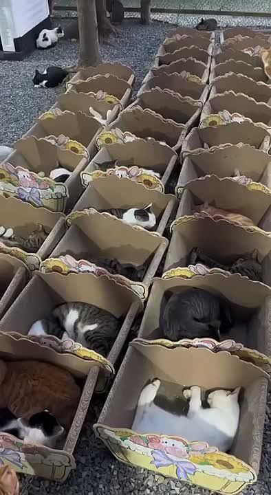 �������� ����� �������� �������� ���