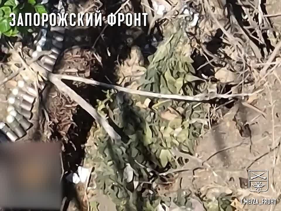������������ 4 ������� ���� 58 ����� ������ �����