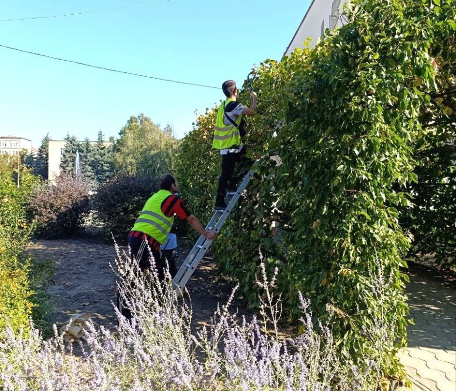 На этой неделе сотрудники МУП УК «Контакт» выполнили целый комплекс работ по благоустройству Токмака и Молочанска