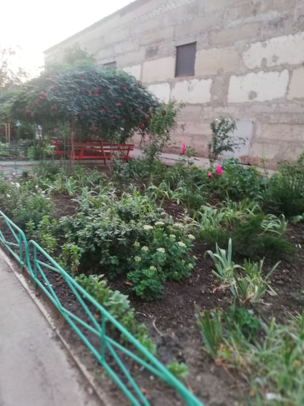 Утро обязательно должно быть добрым и приятным, чтобы весь день прошел как по маслу и решились успешно все дела