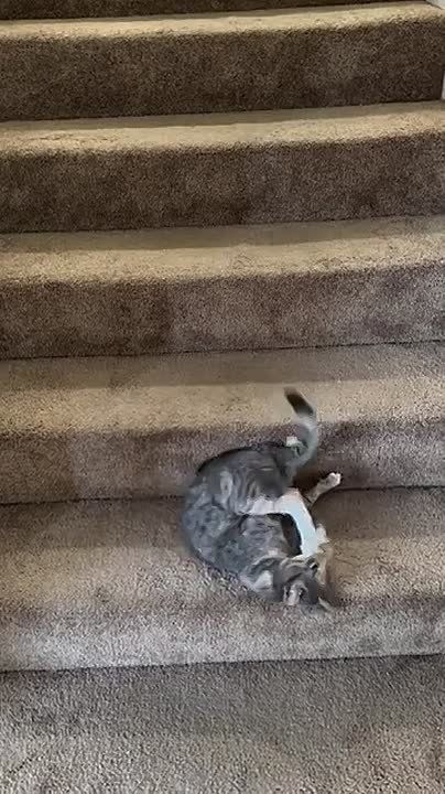 � ��� � �������. ������ �� ������ �� ��������� ���