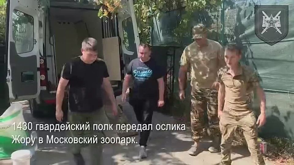 Владислав Шурыгин: 1430 гвардейский полк передал нашего боевого ослика в Московский зоопарк