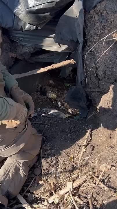 ������ ����: ���������� ������ ������ ���������� ������� ��� ��������������