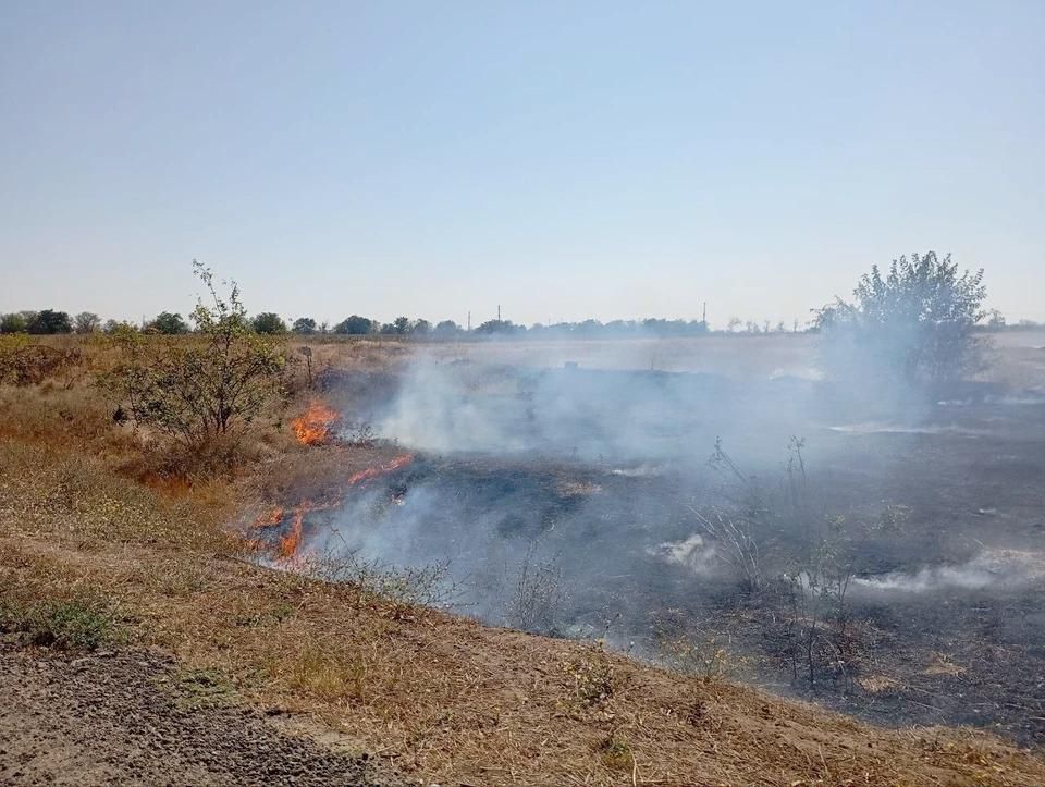 �� ������ � ����������� ������ ������������� 679 ���� �� ����������� ��������