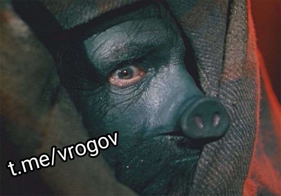 Владимир Рогов: Как бандеровские бесы "побратались"