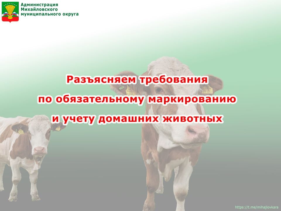 ������������� ������������� ������ ���������� ���������� �� ������������� ������������ � ����� ��������