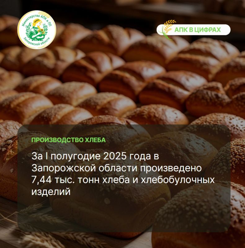 #����������. ������������ ��� � ����������������� �������� ����������� �������