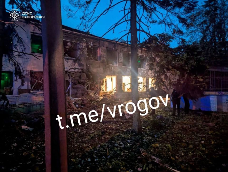 Владимир Рогов: В Запорожье массовое цветение «Герани»